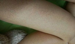 吃鸡皮肤爆料最新实测,全新视觉盛宴，带你领略游戏魅力