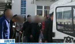 大理记者爆料案件最新,最新案件进展及背后真相