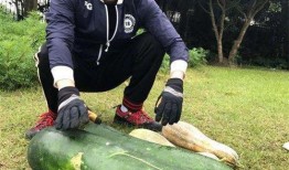 左各庄吃瓜最新事件爆料,最新爆料揭秘幕后真相