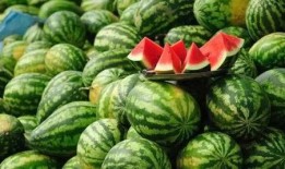 左各庄吃瓜最新事件爆料,最新爆料揭秘幕后真相