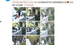 白鹿小八卦最新爆料微博,娱乐圈最新动态大揭秘！