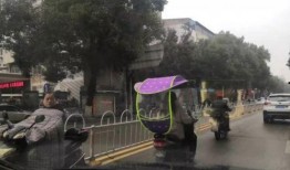 最新爆料黄梅,揭秘背后惊人真相