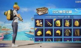 ss2 1赛季最新爆料,神秘英雄登场，战局风云再起！